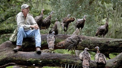 Ma vie avec 16 dindons sauvages (doc 2015)