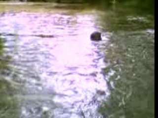 traversé de l'arc la peche au gros