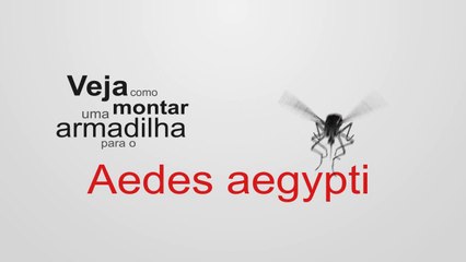 Gestão Ambiental - Armadilha para Mosquito da Dengue