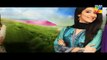 Haya Kay Daman Main Episode 7 Promo HUM TV Drama 06 April 2016