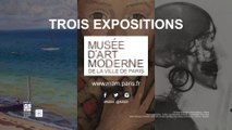 Teaser | 3 expositions au Musée d'Art moderne de la Ville de Paris