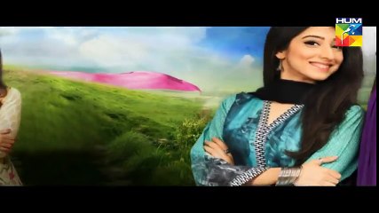 Haya Kay Daman Main Episode 7 HUM TV Drama Promo