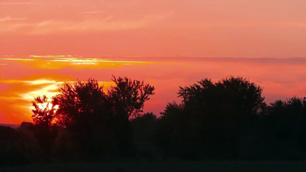 The new Audi A4 allroad quattro - all-round car with off-road capabilities