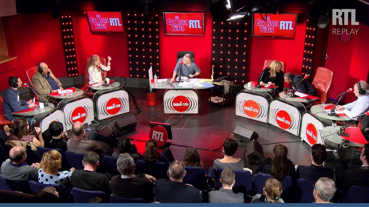 La chauve-souris de Steevy