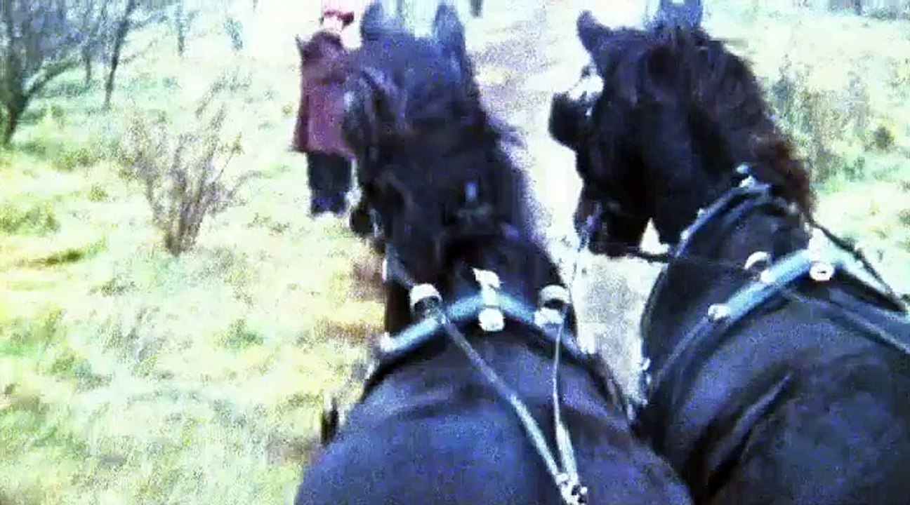 Die Pro7 Märchenstunde - Best of Zwerg Nase