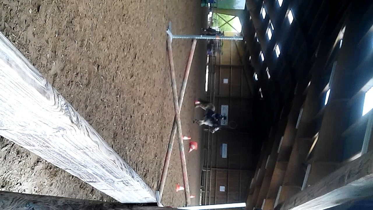 VID_20160406_164606_7918