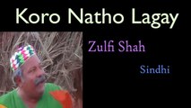 Zulfi Shah - Koro Natho Lagay