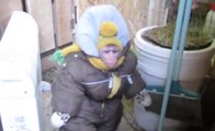 En Russie, un singe se promène dans la neige en doudoune