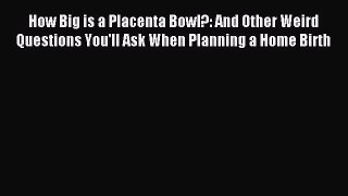 Download How Big is a Placenta Bowl?: And Other Weird Questions You'll Ask When Planning a