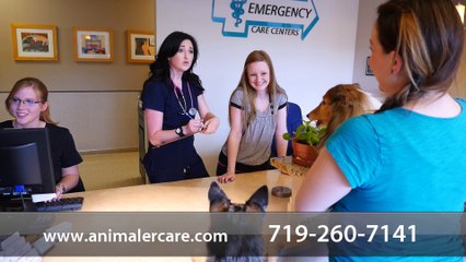 Welcome to Animal Emergency Care Centers