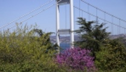 İstanbul'da erguvan zamanı