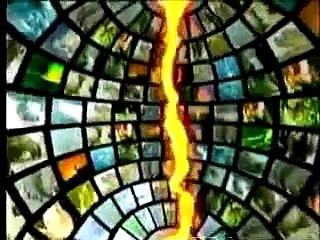 Auras on Animal Planet's "The Most Extreme"