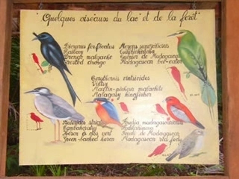 Madagascar