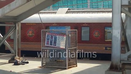 Maharaja's Express Luxury Train , Rajasthan tour standing on railway platform