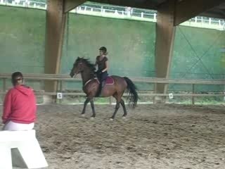 Ligne courbe au galop