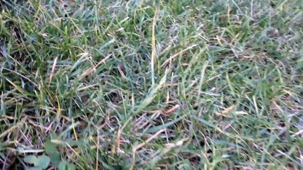 Apple iphone,взгляд в будущее!CONCEPT WEEK #2