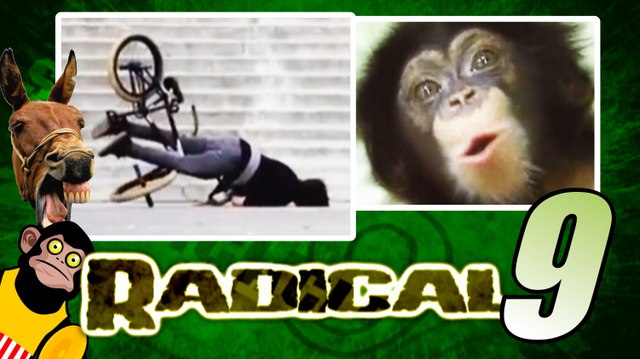 As Pessoas Mais Inteligentemente Burras da Terra - Radical 9