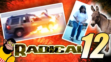 As Pessoas Mais Inteligentemente Burras da Terra - Radical 12