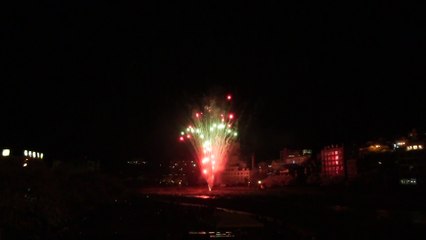 2016 下呂温泉夜桜花火　～桜と花火と音楽のコラボレーション～