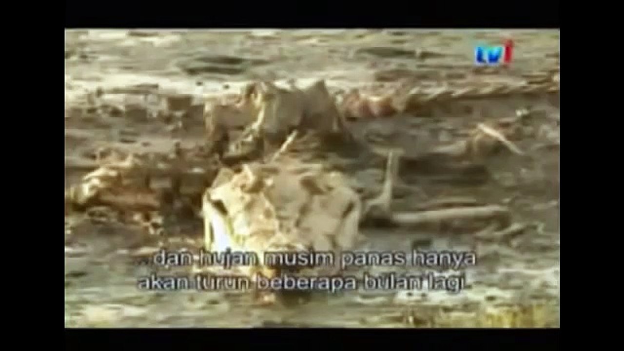 THE KING CROCODILE ATTACKS 27