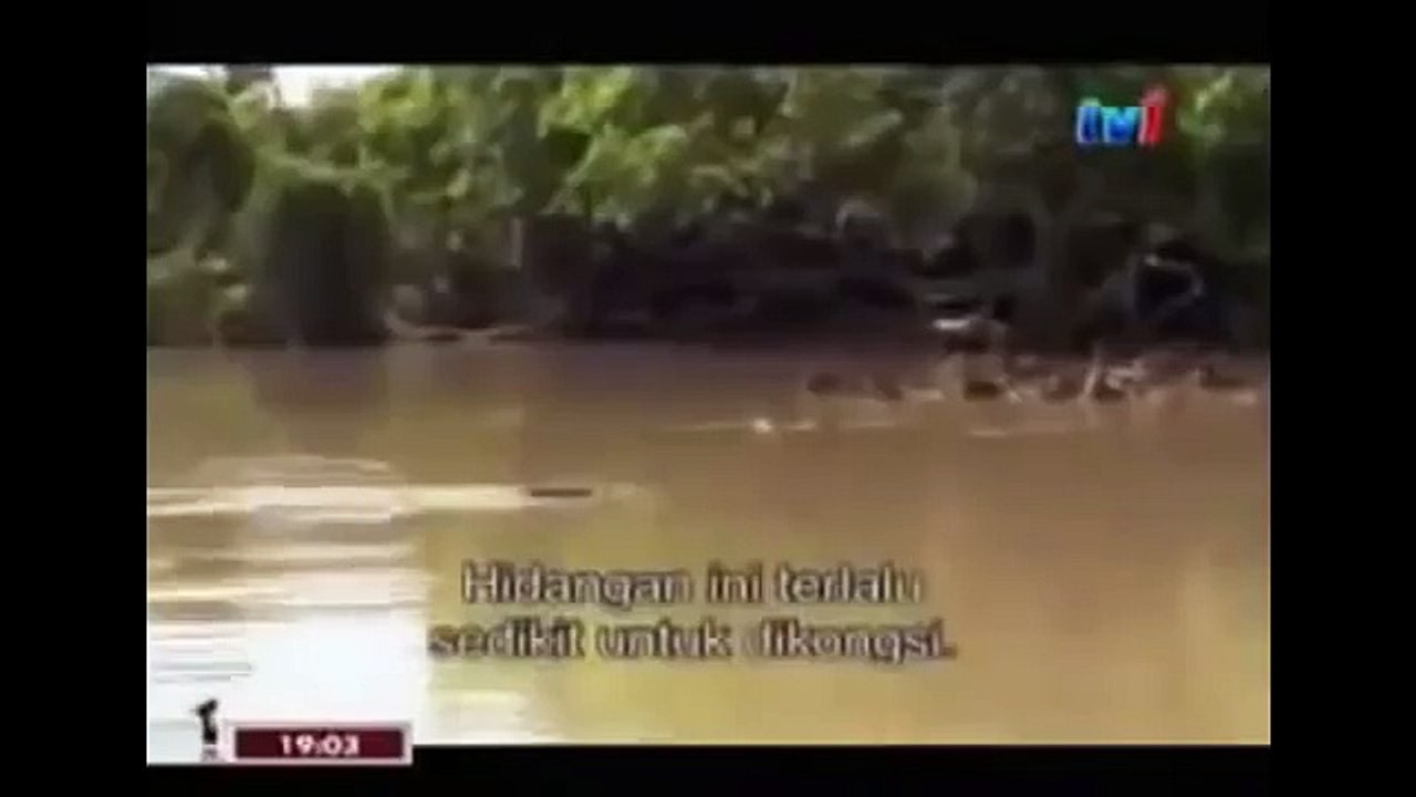 THE KING CROCODILE ATTACKS 83