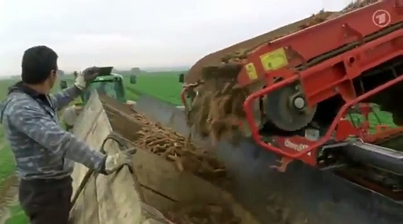 Sendung mit der Maus: Sachgeschichte von Purys und färbenden Lebensmitteln