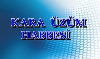 ANTEP OYUN HAVASI KARA ÜZÜM HABBESİ