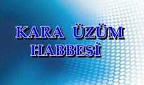 ANTEP OYUN HAVASI KARA ÜZÜM HABBESİ
