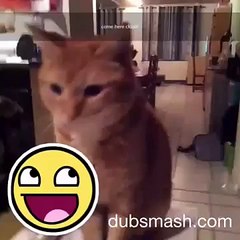 Dusbmash #4 PST COME CLOSER (World Music 720p)