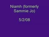 Niamh, emaciated Lab mix 5/2/08