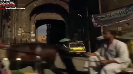 The Most Extreme Super Senses 31