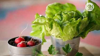 Comment faire pousser un baniwi