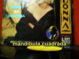 Madonna - He Is A Man (subtitulos español) Vinyl Rip