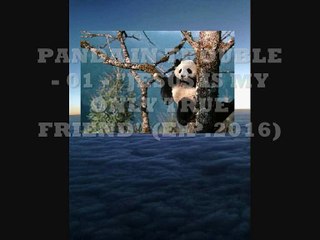 PANDA IN TROUBLE - LIERS, BACKSTABBERS & SHIT-TALKERS E.P.2016