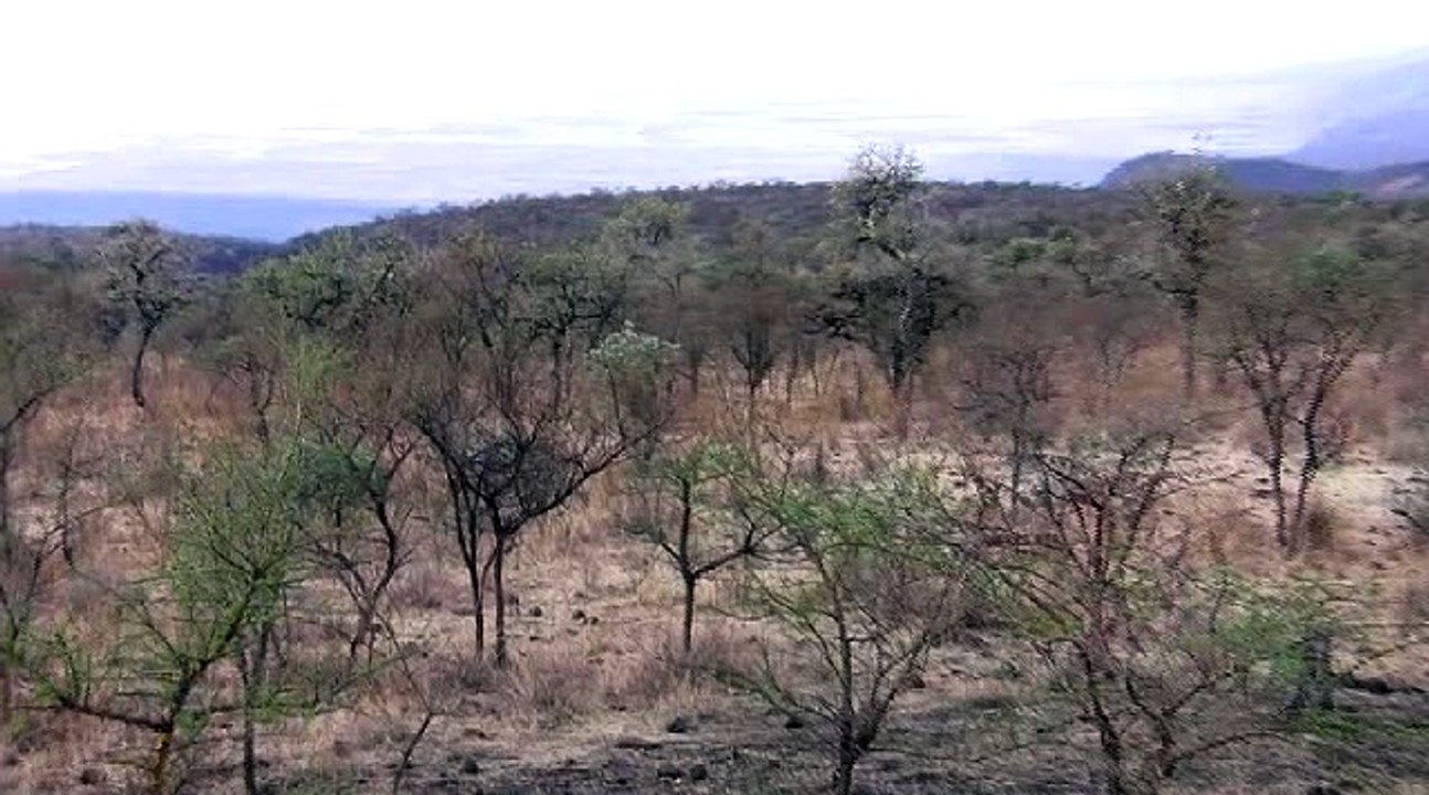 De la faim et de la soif