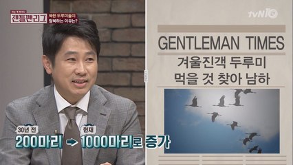 사막화 때문에 두루미들이 탈북 중?