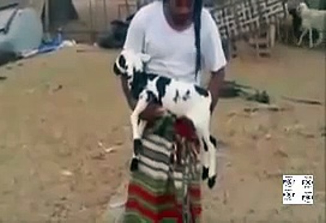 فيديو معجزة  خروف مكتوب عليه إسم ' محمد ' وصاحبه يرفض بيعه ب 1.5 مليون ريال