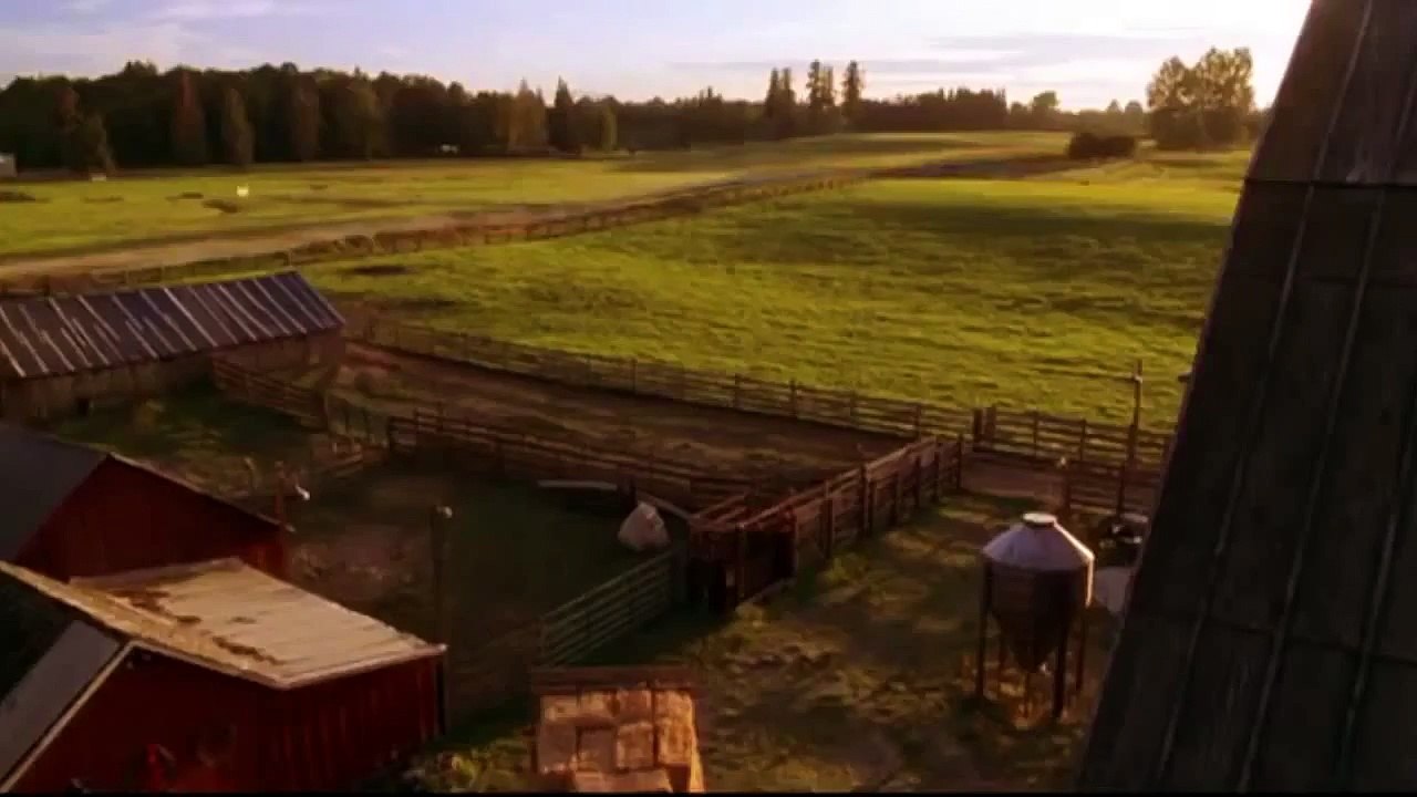 Flash Vs Superman (Race)