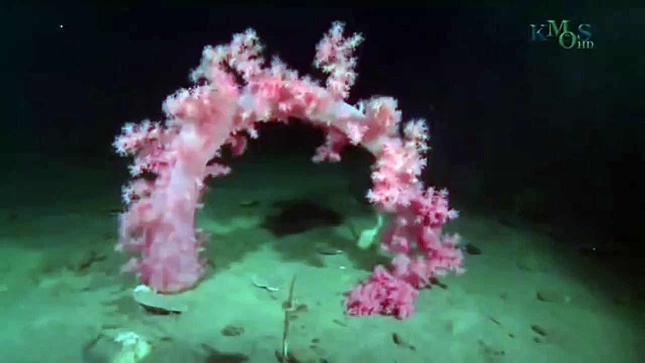 Under The Antarctic Ice -18