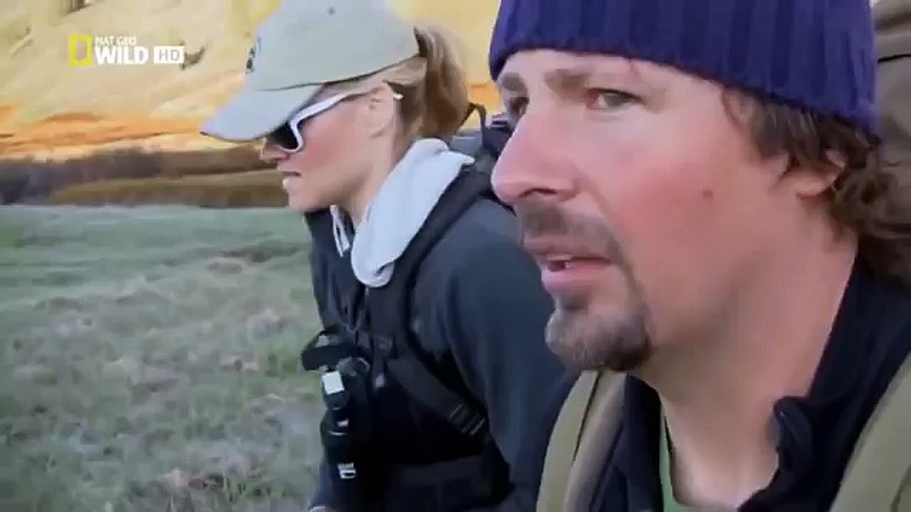 The Wild Yellowstone Wild 83
