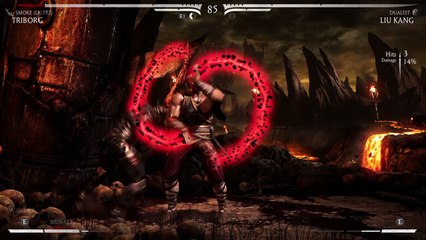 MK X triborg fatality 2