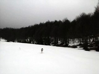 Montain Jablanica Podgorci
