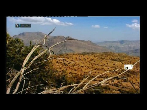 Dokumentari Histori Te Verteta Te Forcave Speciale S.A.S