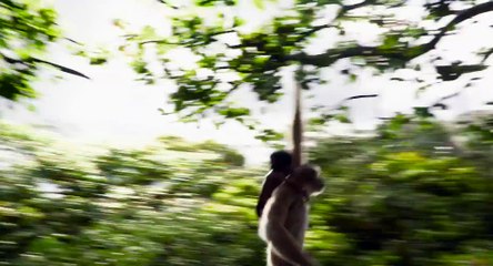 The Jungle Book - Voices Of The Jungle