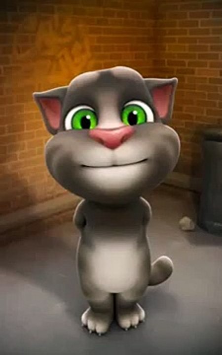 New talking Tom (4)