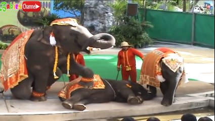 Xiếc Gấu, Xiếc Voi, Khủng Long- LK nhạc thiếu nhi vui nhộn 2016 Full HD