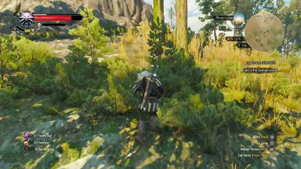 WITCHER 3 DEATH MARCH! WALKTHROUGH 45 - CONTRACT SHRIEKER