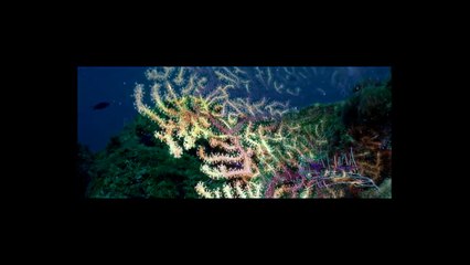 form - Das Boot ist voll