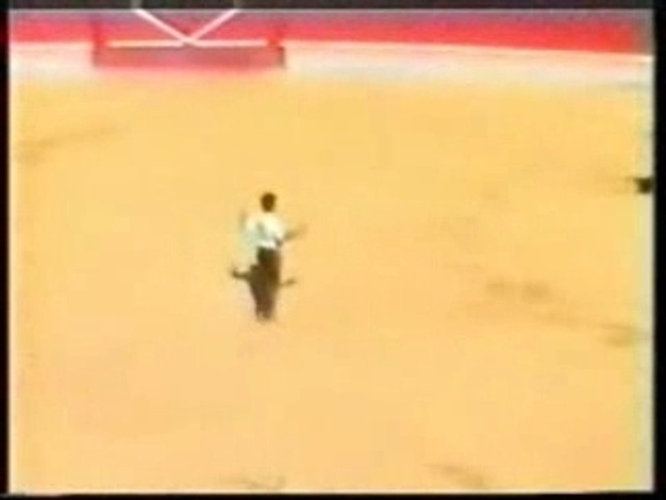 Toro
