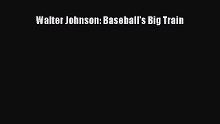 FREE DOWNLOAD Walter Johnson: Baseball's Big Train READ ONLINE